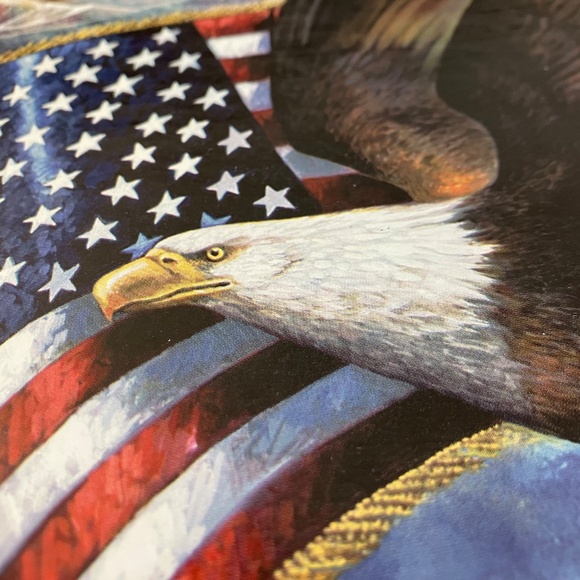 🦅🇺🇸AMERICAN EAGLE & FLAG PUZZLE  🇺🇸 500 PIECES, MADE IN USA 🇺🇸 R.MANNING - Picture 6 of 7